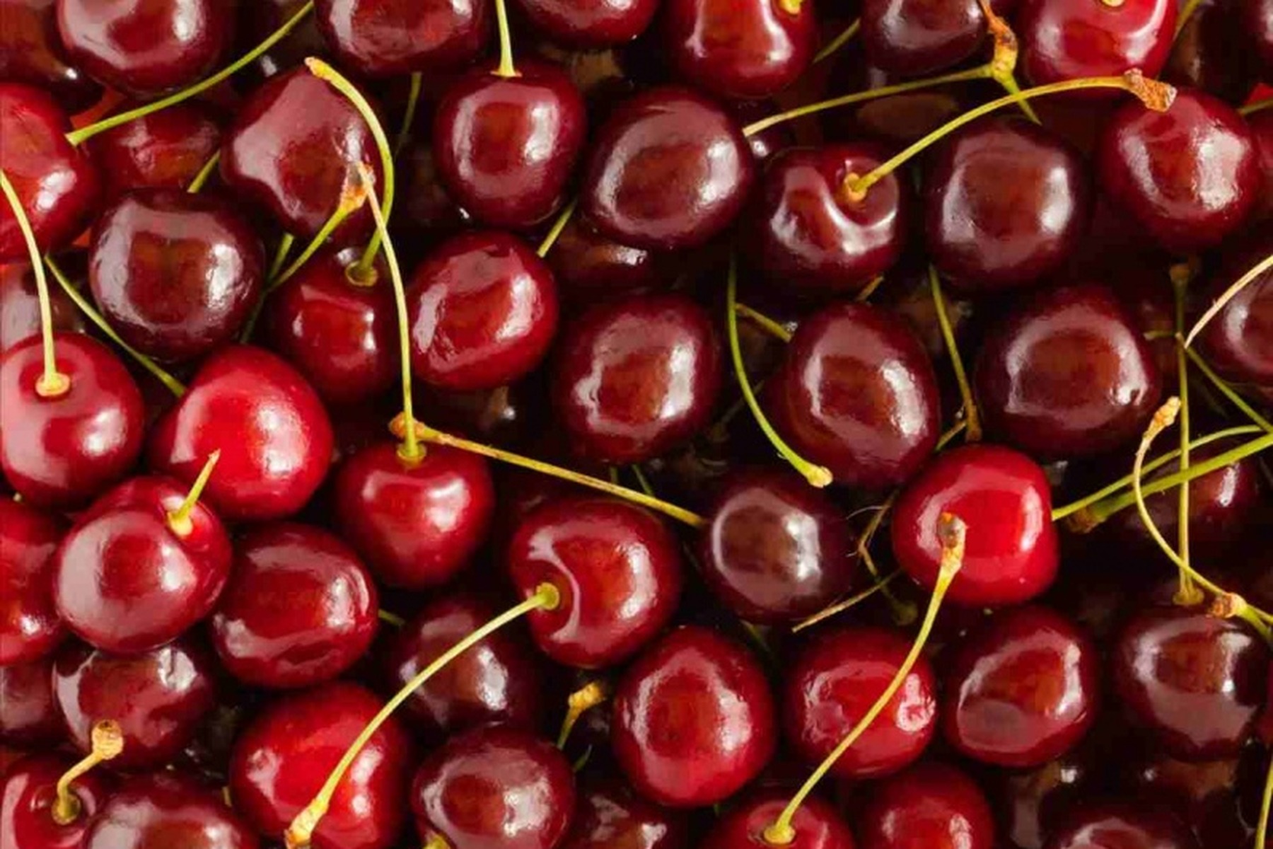 Premium cherries