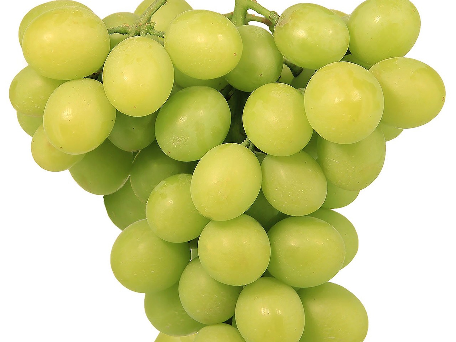 Premium green grapes
