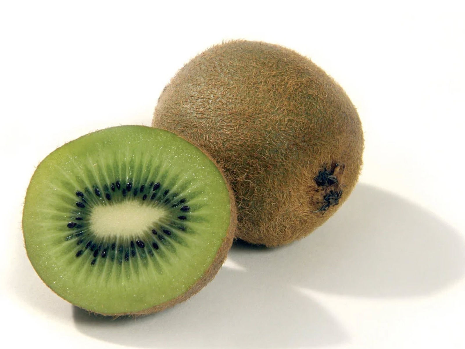 Premium kiwi